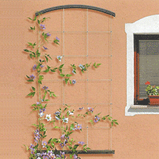 3 in 1 trellis system